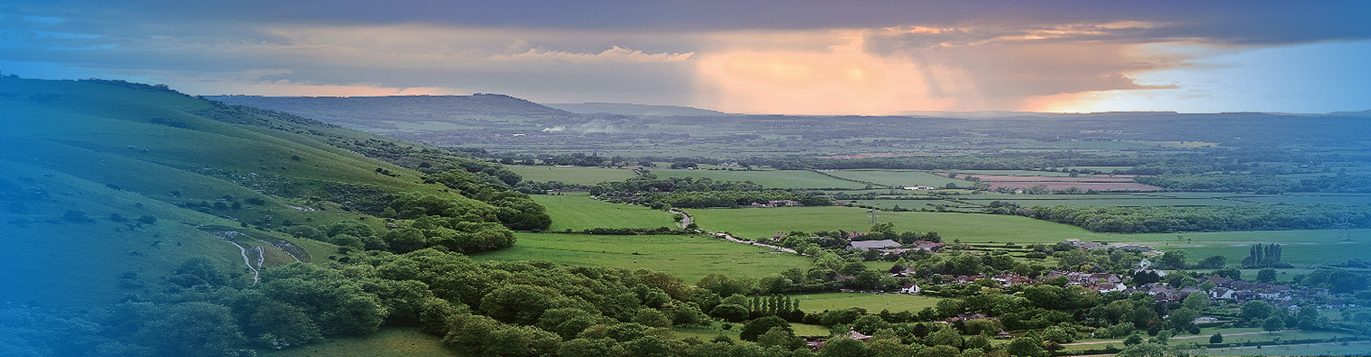 社會(huì)責(zé)任